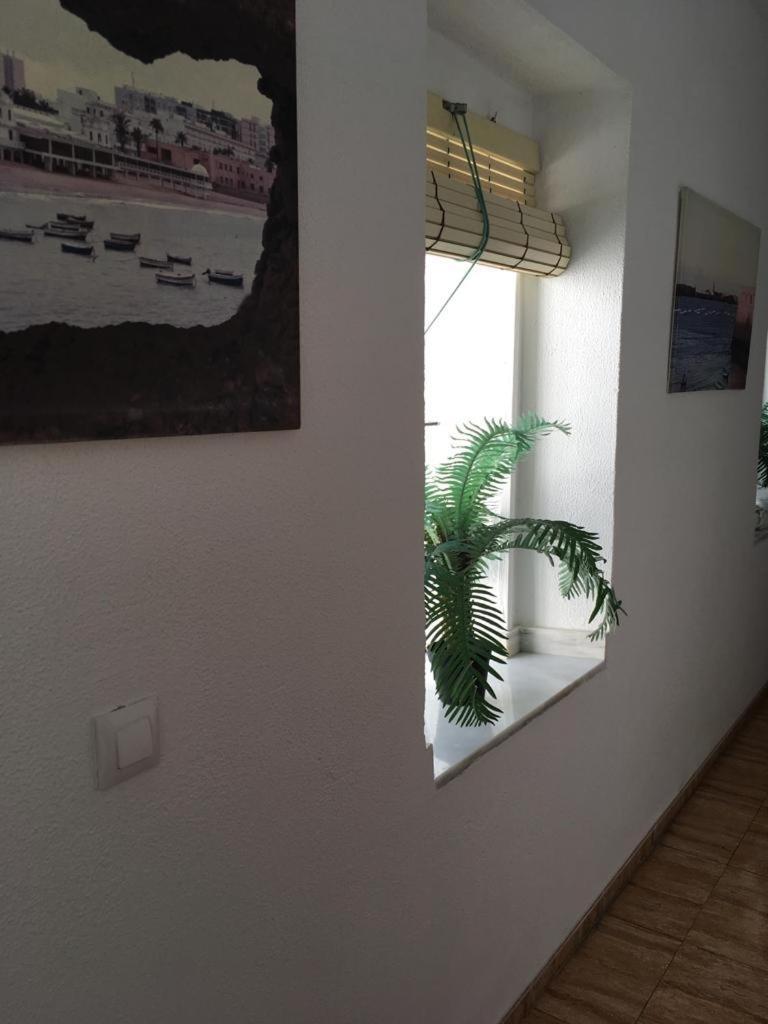 Hostal Fantoni Cádiz Eksteriør billede